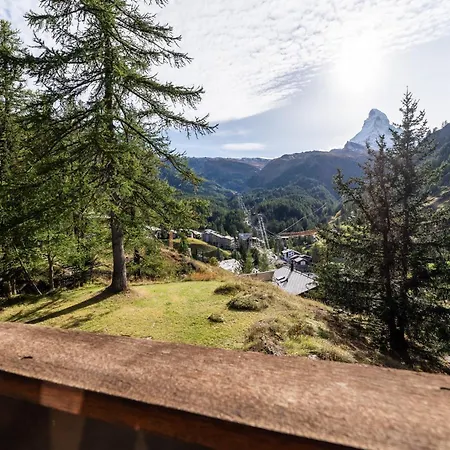 Les Ecureuils By Inspiringplaces Willa